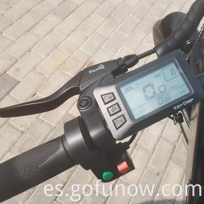 Batería de litio de 750W 48 V Bicicleta eléctrica 26 pulgadas Tarlar de grasa Beach Beach Bike Electric Bike E